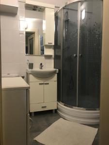une salle de bain avec douche et lavabo dans l'établissement Duga Apartments, à Novi Sad