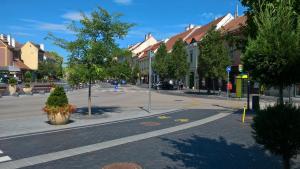 an empty street in a town with trees and buildings at Belváros Apartmanház Sopron in Sopron