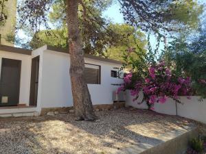 Vonkajšia záhrada v ubytovaní Nuza, Villa con Piscina y Barbacoa