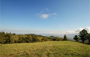 a grassy hill with trees on the horizon at Gorgeous Home In V, Di Montecopiolo in Pugliano +19 photos
