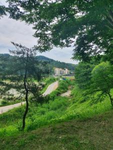 别墅周边自然景观