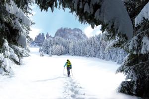 Cyprianerhof Dolomit Resort v zime