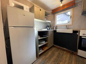 eine kleine Küche mit Kühlschrank und Spüle in der Unterkunft L'Alsacien - Appartement avec Terrasse - Cuisine équipée - WiFi Gratuit in Sélestat