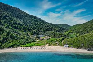 a view of a beach with a group of people at OHLIVE Beach Villa Skiathos in Kechria