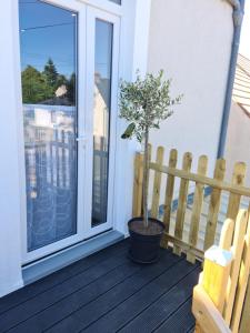 un pot assis sur une terrasse couverte à côté d'une porte dans l'établissement La P'tite Bas-Rivière, à Blois 1 autre photo