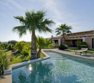 una piscina con una palma di fronte a una casa di Villa delle Palme - Homelike Villas a Castelvetrano Selinunte