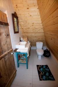 ein Bad mit einem Waschbecken und einem WC in einer Hütte in der Unterkunft Casa din deal in Baia Sprie