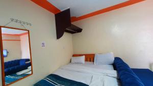 a bedroom with a large bed and a mirror at Lola's Nest along the Highway - Free Parking, Wifi, Netflix & Rooftop views in Kikuyu