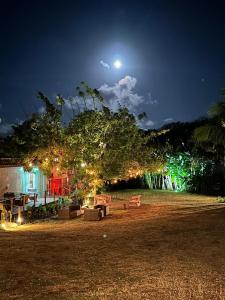 a tree with lights in a yard at night at Pousada Simpatia da Ilha in Fernando de Noronha