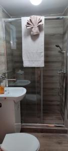 e bagno con doccia, servizi igienici e lavandino. di Sova a Kopaonik