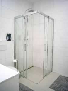 La salle de bains est pourvue d'une douche avec une porte en verre. dans l'établissement AH Lahoda, à Košice
