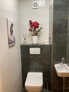 La salle de bains est pourvue de toilettes blanches et d'un lavabo. dans l'établissement Apartment See und Traunsteinblick, à Altmünster