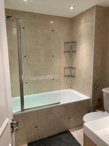 a bathroom with a shower and a tub and a toilet at Lovely 3 bedroom apartment in London