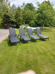 a group of blue chairs sitting in the grass at Steam Sauna Apartments in Gargždai