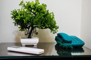 um telefone e uma planta em um vaso em uma mesa em Crown Hotel no Cairo