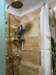 a bathroom with a shower with a shower curtain at Kiskovász Pajta & Inn in Nagytevel