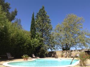卡爾卡松的住宿－奧克斯昂格加迪安斯酒店，一座树木繁茂的庭院内的游泳池