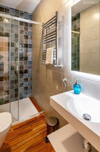 A bathroom at Apartamento 4 personas en la naturaleza Bisonte Még 20 kép