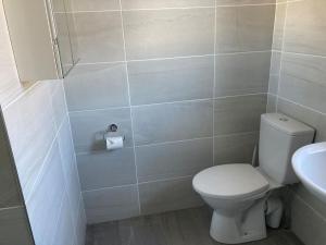 La salle de bains est pourvue de toilettes et d'un lavabo. dans l'établissement Milo's Cosy Cottage Giant's Causeway, à Bushmills