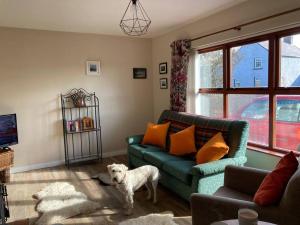 a dog standing in a living room with a couch at Milo's Cosy Cottage Giant's Causeway in Bushmills
