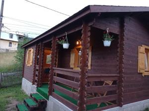 une petite maison en bois avec deux plantes en pot dans l'établissement Căsuță la cheie Borsec - Kulcsos ház Borszék, à Borsec