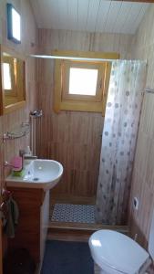een badkamer met een douche, een toilet en een wastafel bij Căsuță la cheie Borsec - Kulcsos ház Borszék in Borsec