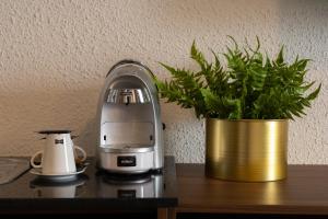 une cafetière et une plante en pot sur une table dans l'établissement Royal Breeze Paramaribo, à Paramaribo