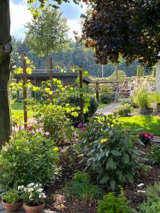 Zahrada ubytování B&B 't Speulderbos