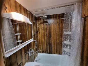 Koupelna v ubytování Studio 4 couchages dans un chalet tout confort