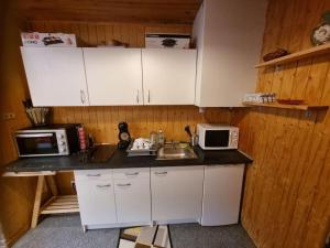 Cuisine ou kitchenette dans l'établissement Studio 4 couchages dans un chalet tout confort