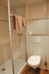 uma casa de banho com um chuveiro e um WC. em Ferienwohnung & App. Rosemarie em Bad Birnbach