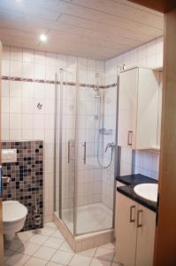 a bathroom with a shower and a toilet and a sink at Ferienwohnung & App. Rosemarie in Bad Birnbach