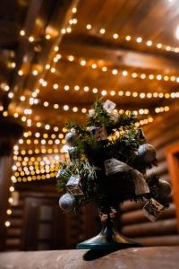 Φωτογραφία από το άλμπουμ του Villa Garden Hotel σε Solochin +63 φωτογραφίες