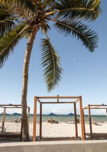 a palm tree on the beach with a swing at Hotel Scappata in Progreso