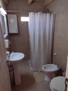 een badkamer met een douchegordijn en een toilet bij Cabaña Sonnentahl in Potrerillos