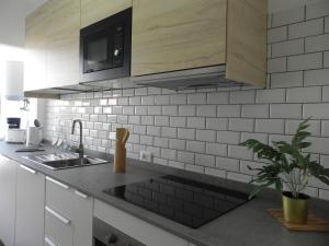 Kuchnia lub aneks kuchenny w obiekcie Marea Urban