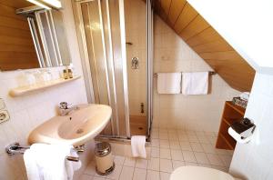 uma casa de banho com um WC com lavatório e um chuveiro em Gasthof Hirsch em Schollbrunn