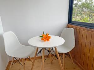 una mesa con tres sillas y una flor de naranja en ella en Novaqua Bed & Breakfast, en Olmué