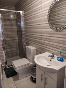 a bathroom with a toilet and a sink and a mirror at Double bedroom studios in Dublin