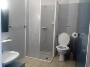ein Bad mit einer Dusche, einem WC und einem Waschbecken in der Unterkunft Château Villemagne in Lagrasse