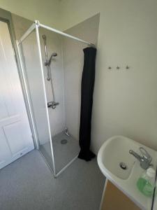 a bathroom with a shower and a sink at Finlandsgade 41 st (id.054) in Esbjerg