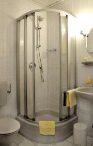 y baño con ducha, lavabo y aseo. en Hotel Garni Haus Dornheim, en Obertshausen