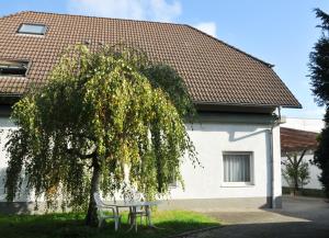 un banc à côté d'un arbre devant une maison dans l'établissement Hotel Garni Haus Dornheim, à Obertshausen
