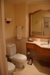 een badkamer met een toilet, een wastafel en een spiegel bij Quinta do Estreito in Estreito de Câmara de Lobos