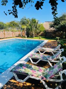 two lounge chairs next to a swimming pool at Mangal Beach Lodge in Vilanculos