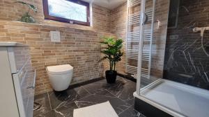 a bathroom with a toilet and a tub and a plant at FP-Immobilien in Harsum