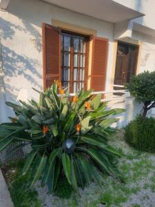 Zahrada ubytování Villa Bianca