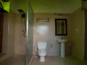 Ngambo的住宿－Aurelia Zanzibar，一间带卫生间和水槽的浴室