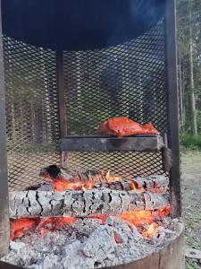 una parrilla con un montón de carne y llamas en Chalets BSL, en Saint-Simon-de-Rimouski