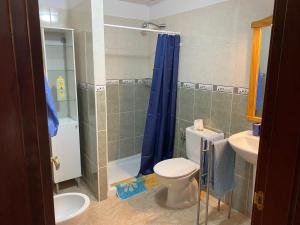 La salle de bains est pourvue de toilettes, d'un lavabo et d'une douche. dans l'établissement JÚPITER EN EDIFICIO REMEDIOS, à Los Llanos de Aridane